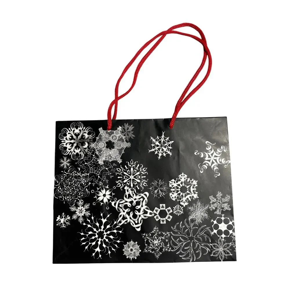 Saks Fifth Avenue Shopping Gift Bag great Condition 10x8x6